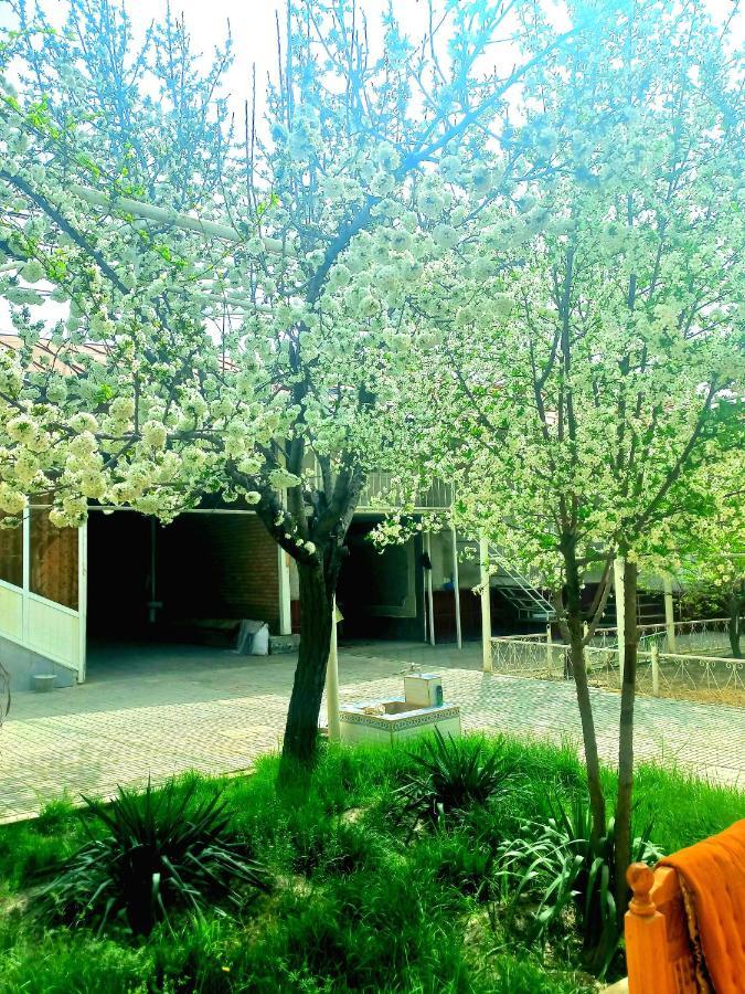 Colibri Traditional Guest House Samarcanda Exterior foto